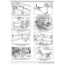 Volkswagen Golf II / Jetta / Scirocco. Посібник з ремонту й техобслуговуванню. Книга