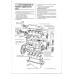 Ford Escort / Orion 1980-1990. Посібник з ремонту й експлуатації. Книга