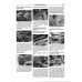 Volvo XC70/ Volvo V70. Посібник з ремонту й експлуатації. Книга