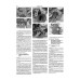 Isuzu Rodeo / Amigo / Honda Passport. Посібник з ремонту й експлуатації. Книга