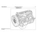 Iveco Stralis Cursor. Посібник з ремонту. Книга