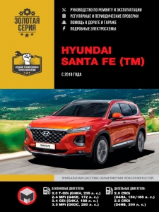 ����� Hyundai Santa Fe (TM) � 2018 �. ����������� �� ������� 
